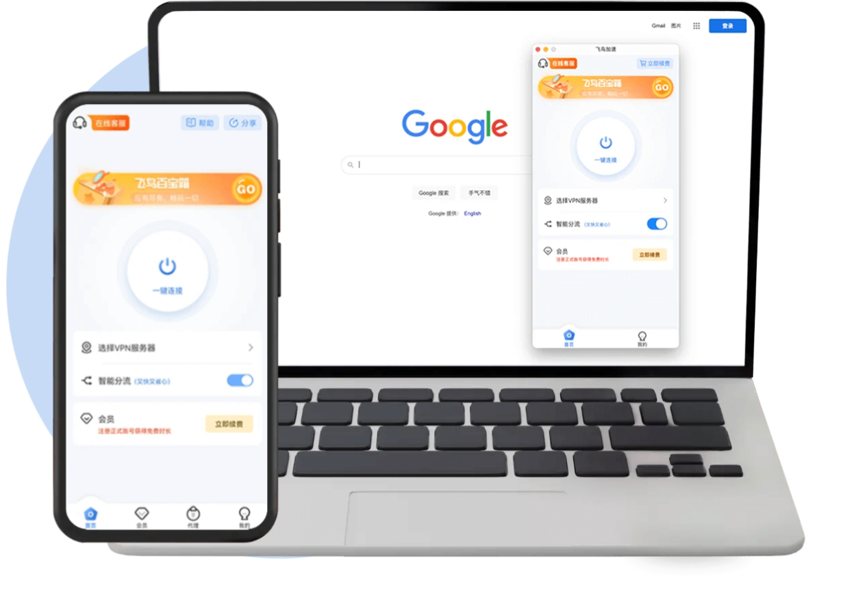 飞鸟VPN界面展示
